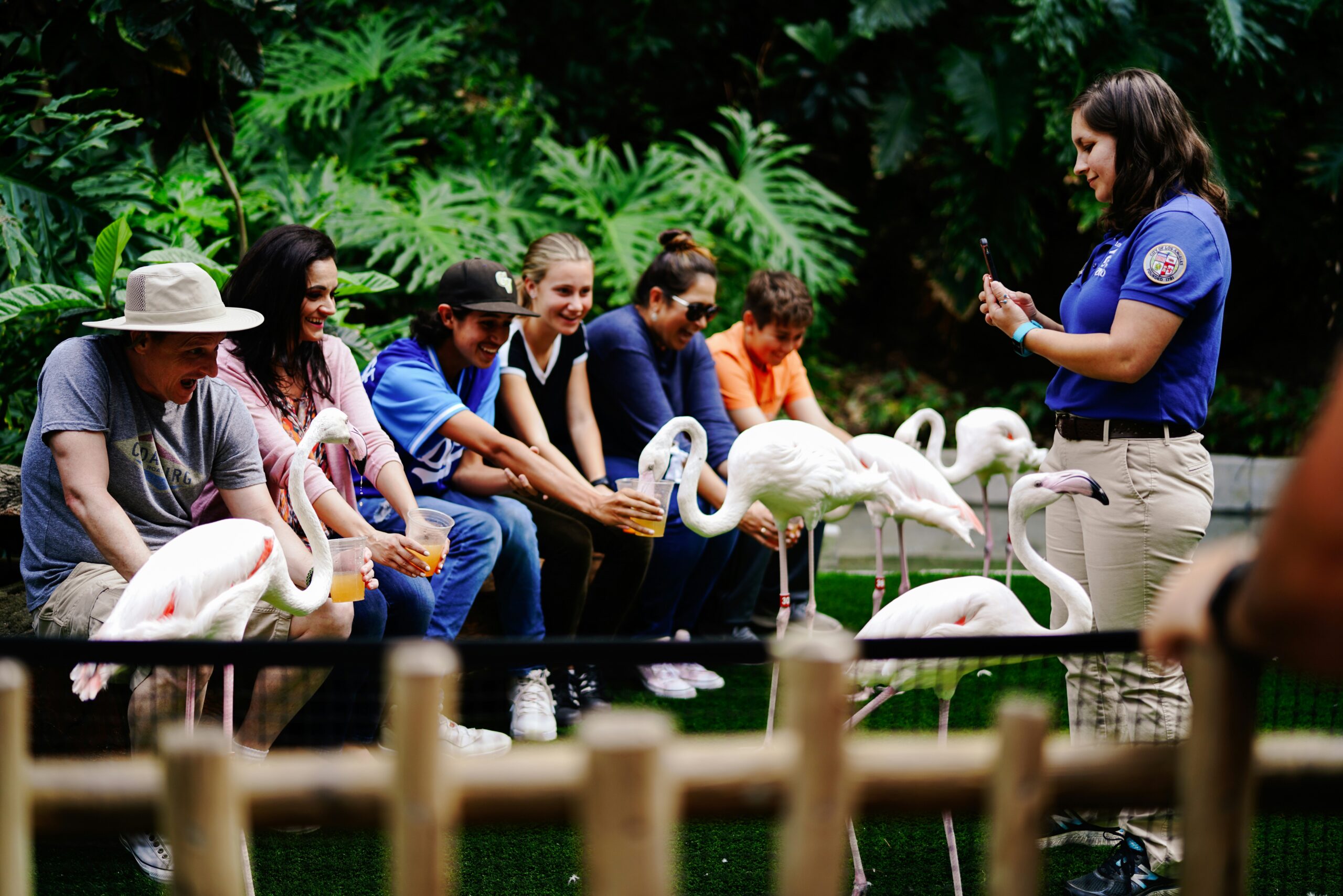 Five Tips on How to Train Your Tour Guides | Tourism Tiger